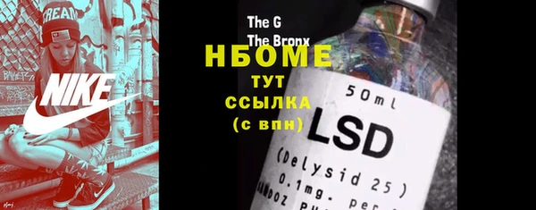 винт Лагань