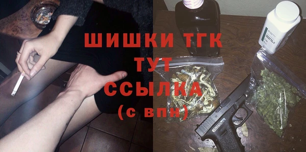 винт Лагань
