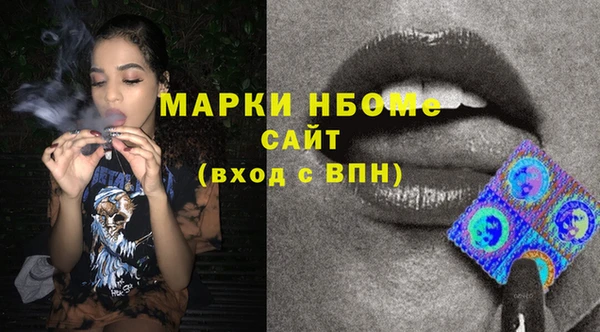 винт Лагань