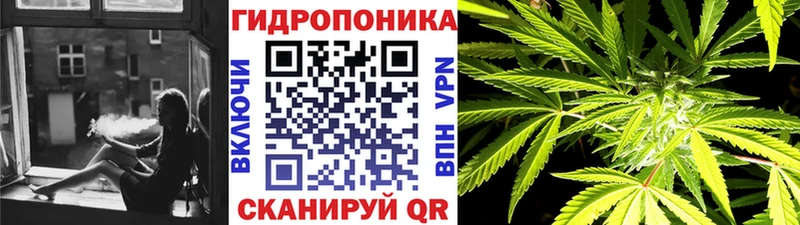 Каннабис семена  darknet Telegram  Оса 